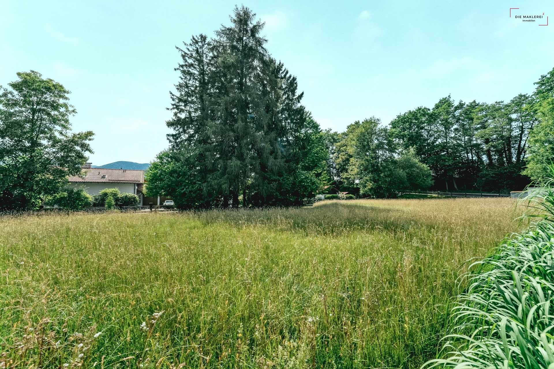 Reischenhart gemeinschaftsgarten